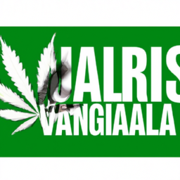 is marijuanas legalized in va