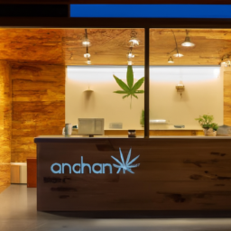 description: a modern and sleek dispensary storefront with proper branding visible. the interior is well-lit and features displays of various cannabis products, with a friendly staff member standing behind the counter.