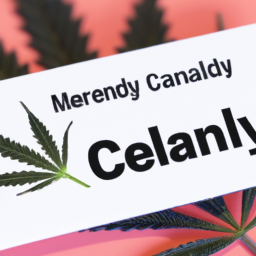 Description: A close-up image of a Colorado medical marijuana card with a marijuana leaf in the background.