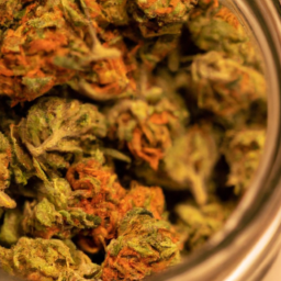 description: an anonymous image featuring a close-up of dried cannabis flower buds in varying shades of green and orange, neatly arranged in a glass jar.