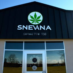 Description: A photo of the Nativa Cannabis dispensary in Western New York, with the Seneca Nation logo displayed prominently on the front of the building.